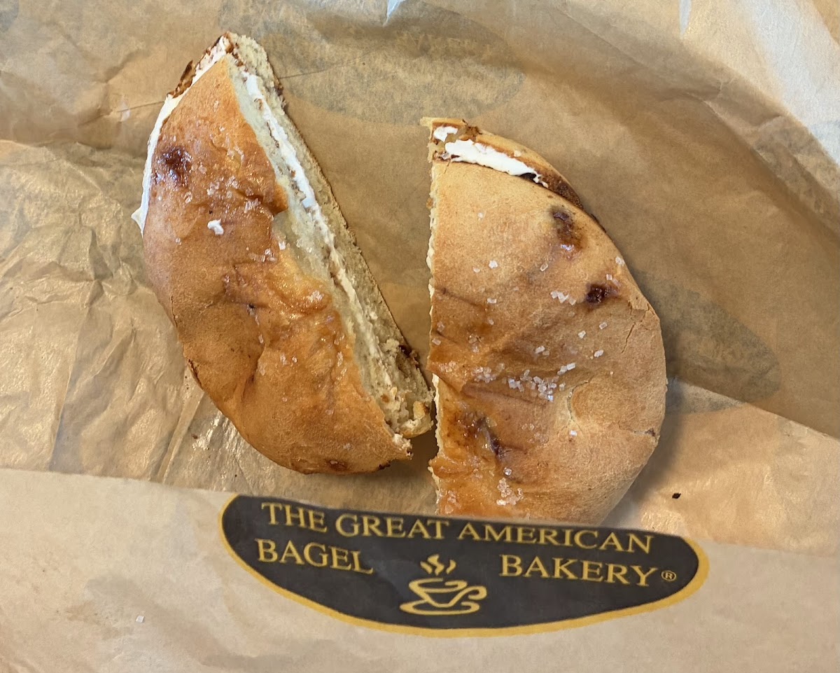 The Great American Bagel Bakery Photos 2